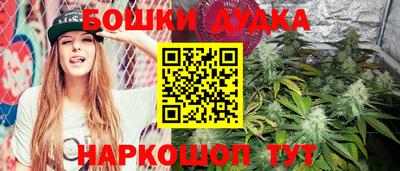 a pvp Новокубанск