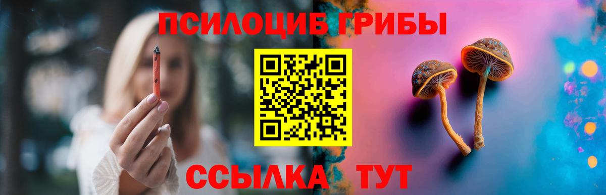 Псилоцибиновые грибы прущие грибы  продажа наркотиков  Свободный  Псилоцибиновые грибы прущие грибы  Вход с VPN 